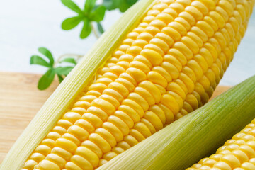 とうもろこし
