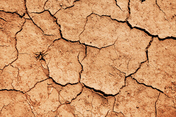 Dry ground as background. Climate change and global warming concept. Top view of cracked soil during drought season in arid climate landscape.