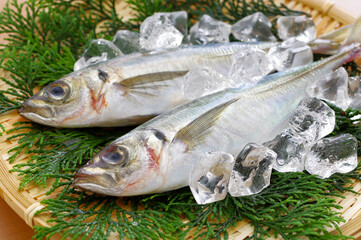 竹ざるの上の新鮮なアジ