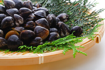 竹ざるに盛った新鮮なシジミ