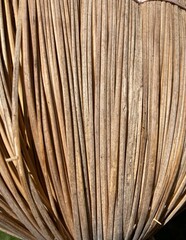 the tied straw of a rice broom close up 