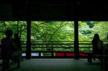 Beautiful summer fresh green of Kifune Shrine in Kyoto, Japan