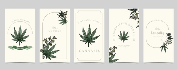 Collection of green cannabis background
