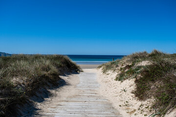 Fototapeta na wymiar Beach dunes with wooden walkway