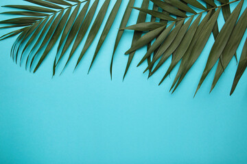 Green tropical palm leaves on blue background. Minimal summer concept. Creative flat lay.