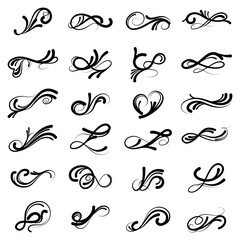 set of swirl border calligraphy and dividers decorative vector in vintage style on white background, collection retro element in black line doodle hand drawn illustration design