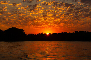 Beautiful sunset in northern Pantanal, world's largest wetlands. Wild brazil, brazilian wildlife and nature, amazing landscape, riverside, by the boat.