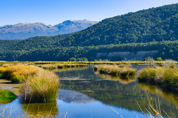 Clear water with reeds in the Rakatu Wetlands, adjacent to the Waiau River, Manapouri, Fiordland, South Island, New Zealand. High mountains of Fiordland in the background
