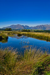 Fototapeta na wymiar Clear water with reeds in the Rakatu Wetlands, adjacent to the Waiau River, Manapouri, Fiordland, South Island, New Zealand. High mountains of Fiordland in the background 
