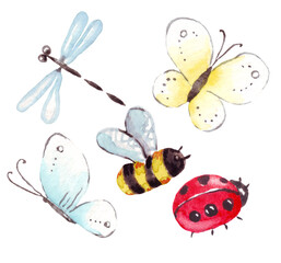 Watercolor insects. Hand-painted clipart