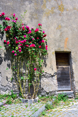 Fototapeta na wymiar the historic center of Capodimonte Viterbo Italy