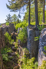 Rocky canyon in a woodland
