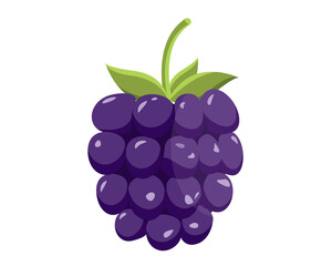 Blackberry berry.Ripe summer berry with green leaves, on a white background.