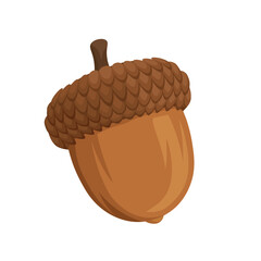Acorn cartoon isolated vector illustration on white background. Oak tree fruit. Realistic cartoon acorn illustration. - obrazy, fototapety, plakaty