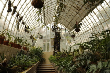 Inside greenhouse plantation with white transparent glass and a lot of plants growing around