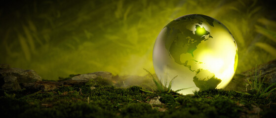 Crystal glass globe on mossy forest environment concept 3D Render