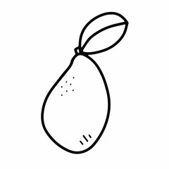 Doodle tropical mango. Hand-drawn fresh natural exotic fruit isolated on white background. Outline healthy vegetarian food, vitamin, delicious organic plant, gardening symbol. Vector illustration