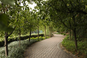 Curved path in a park with trees and plantation
