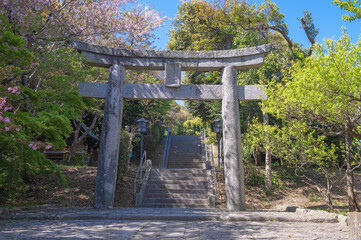 Fototapeta na wymiar 志賀海神社の二の鳥居
