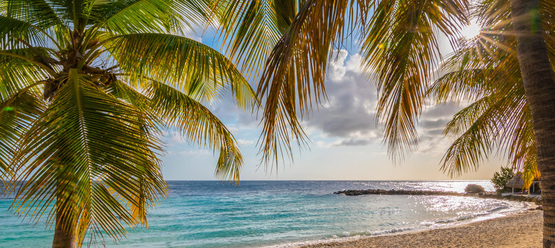 Sunshine through palm trees on tropical beach in Curacao. Summer vacation banner.
