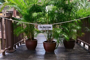 Prohibition sign saying "Do Not Enter" and "stop" written in black ink on a white background. A sign hangs on a rope fence at a wooden bridge with a Macarthurs Palm in a pot behind three pots.
