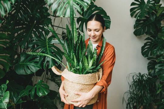 A young woman holds a jute pot with a green plant in her hands. The concept of eco-friendly housing and minimalism, gardening in urban conditions
