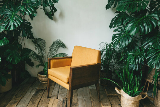 A beautiful yellow upholstered armchair stands in a garden with green plants. Eco-friendly design