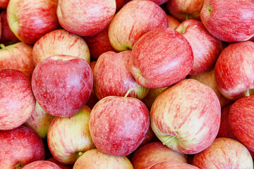 Closeup view of fresh red apples. Good harvest of fruits