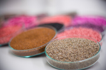 Seleção com diversas sementes divididas em placas de petri para demonstração de suas qualidades como cor, tamanho e formatos