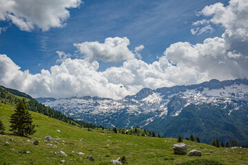 Beautiful nature. Mountain hiking Trail Road. Italy Malga Montasio Forca Disteis