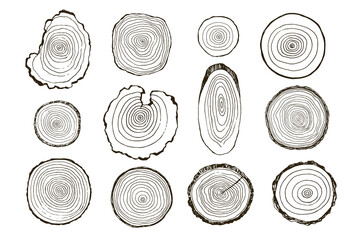 Tree rings vector illustrations set