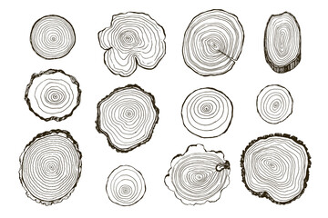 Tree rings vector illustrations set - 513542954