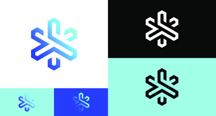 Fototapeta premium ice snowflakes geometric Logo Design Concept 