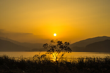 Obraz premium 두물머리의 아침