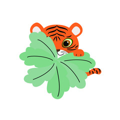 Cute tiger baby looks out from behind a bush. Vector illustration of wild animal in childish cartoon flat style.