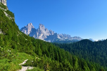 Fototapeta na wymiar Monte Cristallo mountain peak in the Dolomite Alps in Veneto region and Belluno province in Italy and mountain slopes covered in larch (Larix decidua) forest