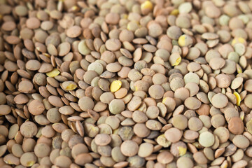 Green lentils pattern as background. Natural organic lentils. Top view. Copy space.