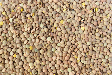 Green lentils pattern as background. Natural organic lentils. Top view. Copy space.