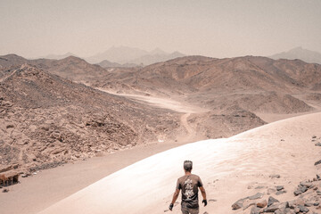 Wanderer in Wüste