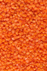 Red lentils pattern as background. Natural organic lentils. Top view. Copy space.