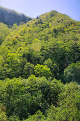 Mountains and trees in Daisetsuzan National Park on Hokkaido Island in the spring