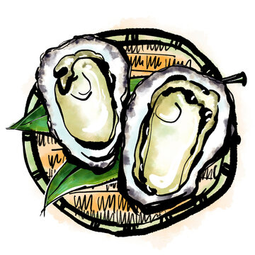 「岩牡蠣（いわがき）」の手書きイラスト（筆書き墨絵風）