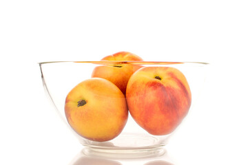 Three juicy organic nectarines in a glass bowl, close-up, isolated on a white background.