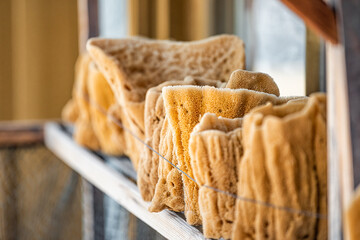 Display of natural sea sponges closeup on sale as local product in shop store of Tarpon Springs,...