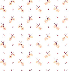Summer seamless pattern of plum blossom. Cute floral print. Vector illustration on a white background for decor, wrapping paper