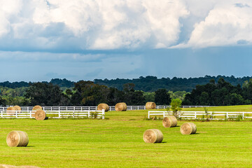 Hay roll bales on countryside field farm in Alachua in Florida, USA rural area with farmland meadow...