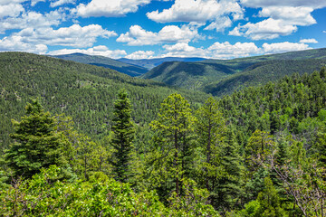 Obraz premium Carson National Forest with Sangre de Cristo mountains and green pine coniferous trees in summer and peak overlook from route 76 high road to Taos in Rocky Mountains