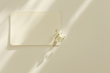 Empty copy space Blank texture canvas paper card with flower twig Light and shadows minimalism...