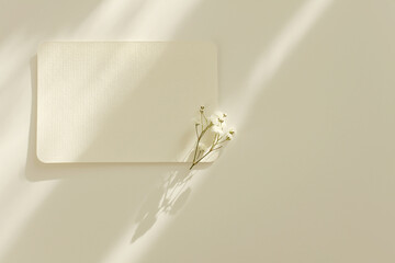 Empty copy space Blank texture canvas paper card with flower twig Light and shadows minimalism style template background. Flat lay, top view. Beige color.
