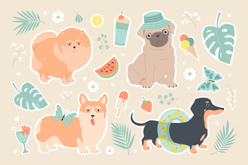Big set of stickers with dogs. Summer funny vector illustration for kids. Dachshund, pomeranian, pug and corgi on summer vacation. Palm leaves, ice cream, watermelon, cocktails, butterflies, flowers.